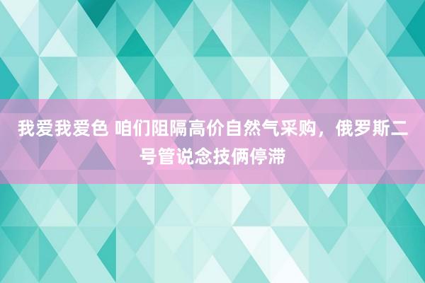 我爱我爱色 咱们阻隔高价自然气采购，俄罗斯二号管说念技俩停滞