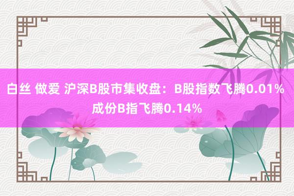 白丝 做爱 沪深B股市集收盘：B股指数飞腾0.01% 成份B指飞腾0.14%