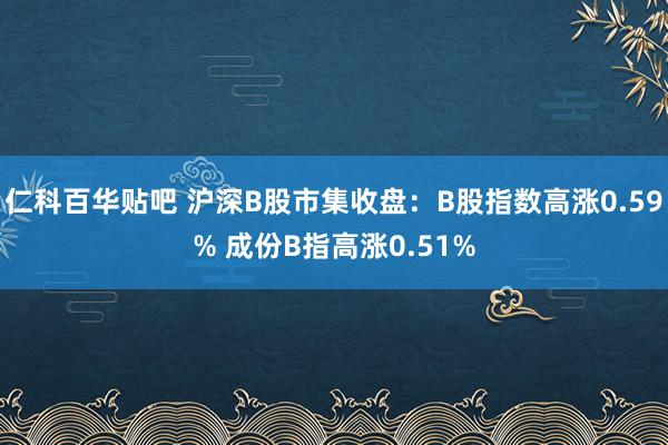 仁科百华贴吧 沪深B股市集收盘：B股指数高涨0.59% 成份B指高涨0.51%