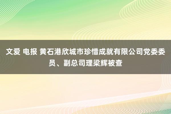 文爱 电报 黄石港欣城市珍惜成就有限公司党委委员、副总司理梁辉被查