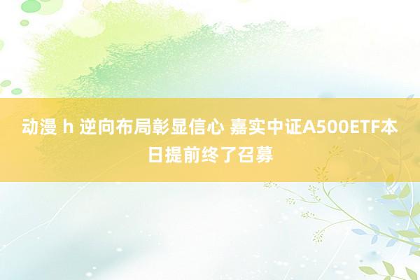 动漫 h 逆向布局彰显信心 嘉实中证A500ETF本日提前终了召募