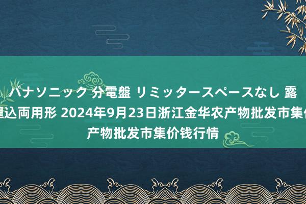 パナソニック 分電盤 リミッタースペースなし 露出・半埋込両用形 2024年9月23日浙江金华农产物批发市集价钱行情