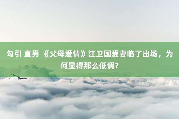 勾引 直男 《父母爱情》江卫国爱妻临了出场，为何显得那么低调？