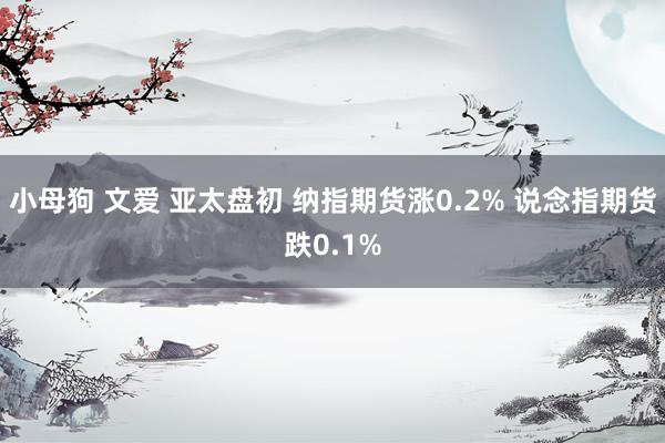 小母狗 文爱 亚太盘初 纳指期货涨0.2% 说念指期货跌0.1%