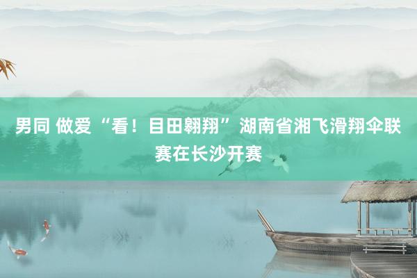 男同 做爱 “看！目田翱翔” 湖南省湘飞滑翔伞联赛在长沙开赛