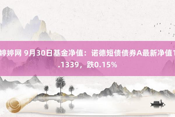 婷婷网 9月30日基金净值：诺德短债债券A最新净值1.1339，跌0.15%