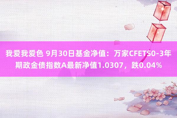 我爱我爱色 9月30日基金净值：万家CFETS0-3年期政金债指数A最新净值1.0307，跌0.04%