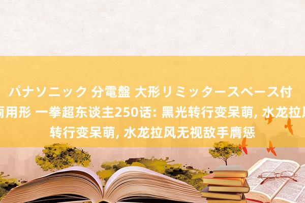 パナソニック 分電盤 大形リミッタースペース付 露出・半埋込両用形 一拳超东谈主250话: 黑光转行变呆萌， 水龙拉风无视敌手膺惩