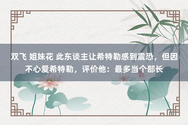 双飞 姐妹花 此东谈主让希特勒感到震恐，但因不心爱希特勒，评价他：最多当个部长