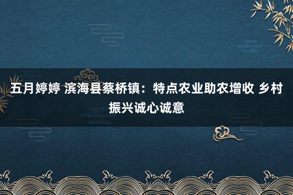 五月婷婷 滨海县蔡桥镇：特点农业助农增收 乡村振兴诚心诚意