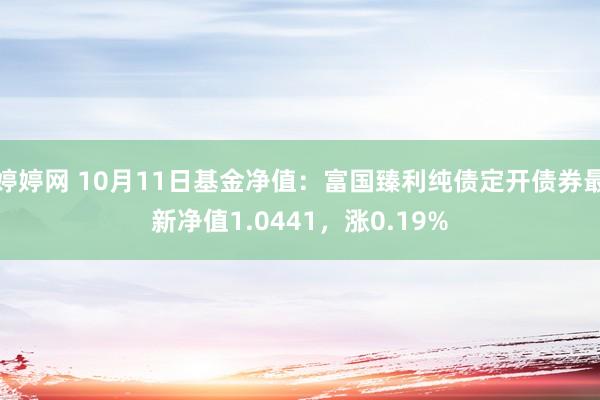 婷婷网 10月11日基金净值：富国臻利纯债定开债券最新净值1.0441，涨0.19%