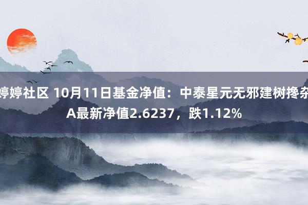 婷婷社区 10月11日基金净值：中泰星元无邪建树搀杂A最新净值2.6237，跌1.12%