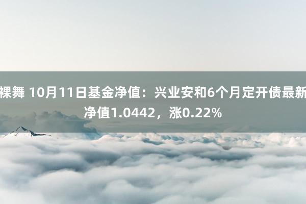 裸舞 10月11日基金净值：兴业安和6个月定开债最新净值1.0442，涨0.22%