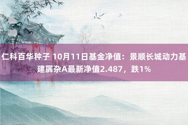 仁科百华种子 10月11日基金净值：景顺长城动力基建羼杂A最新净值2.487，跌1%