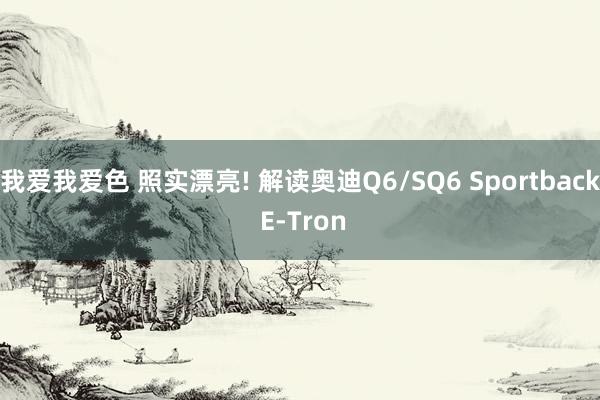 我爱我爱色 照实漂亮! 解读奥迪Q6/SQ6 Sportback E-Tron