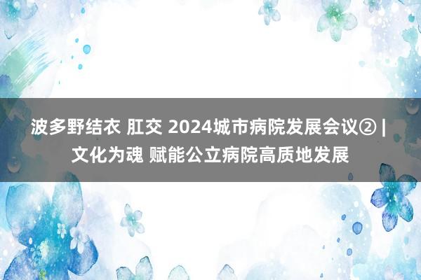 波多野结衣 肛交 2024城市病院发展会议② | 文化为魂 赋能公立病院高质地发展