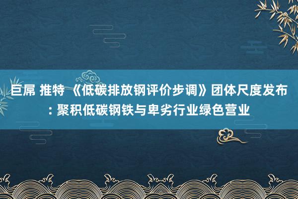 巨屌 推特 《低碳排放钢评价步调》团体尺度发布: 聚积低碳钢铁与卑劣行业绿色营业