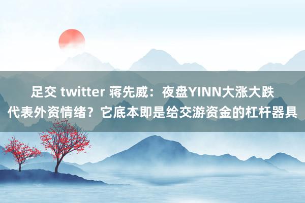 足交 twitter 蒋先威：夜盘YINN大涨大跌代表外资情绪？它底本即是给交游资金的杠杆器具