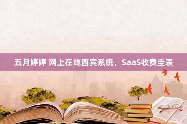 五月婷婷 网上在线西宾系统，SaaS收费圭表