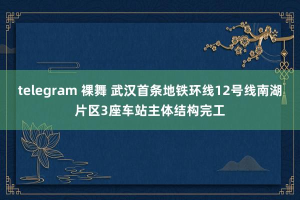 telegram 裸舞 武汉首条地铁环线12号线南湖片区3座车站主体结构完工