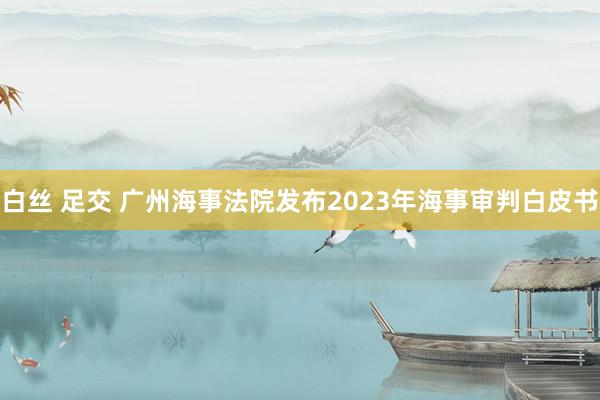 白丝 足交 广州海事法院发布2023年海事审判白皮书