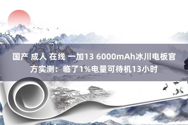 国产 成人 在线 一加13 6000mAh冰川电板官方实测：临了1%电量可待机13小时