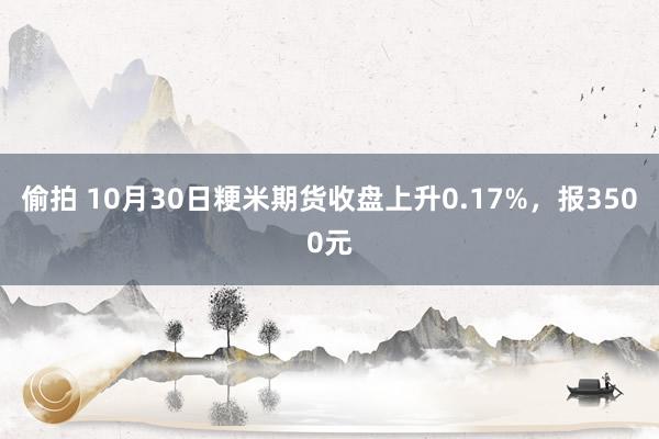 偷拍 10月30日粳米期货收盘上升0.17%，报3500元