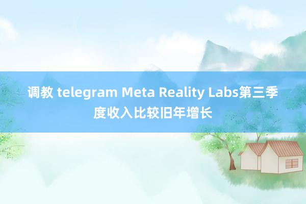 调教 telegram Meta Reality Labs第三季度收入比较旧年增长