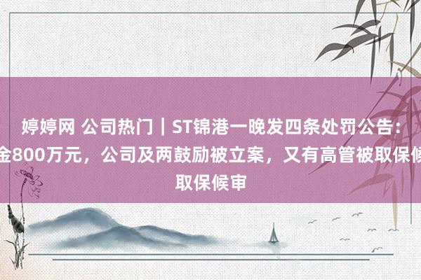 婷婷网 公司热门｜ST锦港一晚发四条处罚公告：罚金800万元，公司及两鼓励被立案，又有高管被取保候审