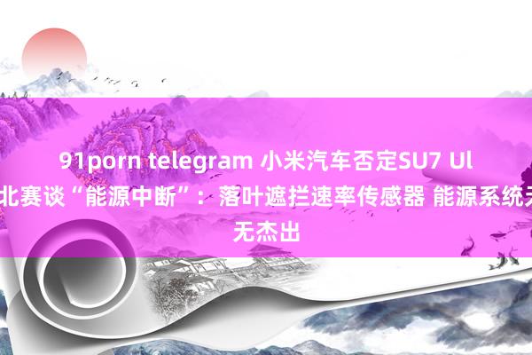 91porn telegram 小米汽车否定SU7 Ultra纽北赛谈“能源中断”：落叶遮拦速率传感器 能源系统无杰出