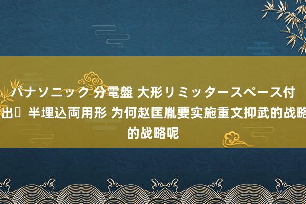 パナソニック 分電盤 大形リミッタースペース付 露出・半埋込両用形 为何赵匡胤要实施重文抑武的战略呢