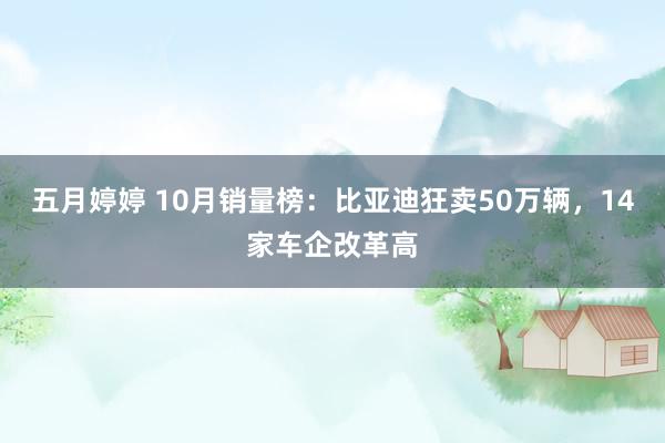 五月婷婷 10月销量榜：比亚迪狂卖50万辆，14家车企改革高