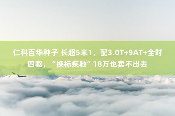 仁科百华种子 长超5米1，配3.0T+9AT+全时四驱，“换标疾驰”18万也卖不出去