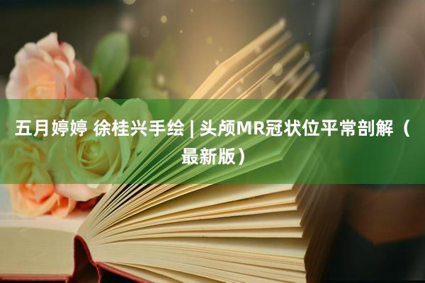 五月婷婷 徐桂兴手绘 | 头颅MR冠状位平常剖解（最新版）