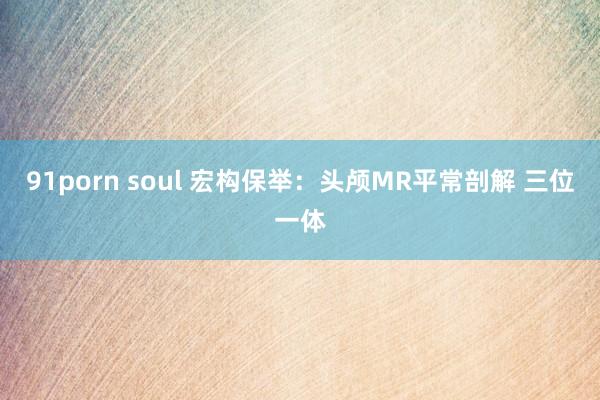 91porn soul 宏构保举：头颅MR平常剖解 三位一体