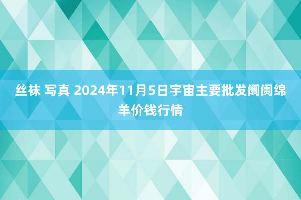 丝袜 写真 2024年11月5日宇宙主要批发阛阓绵羊价钱行情