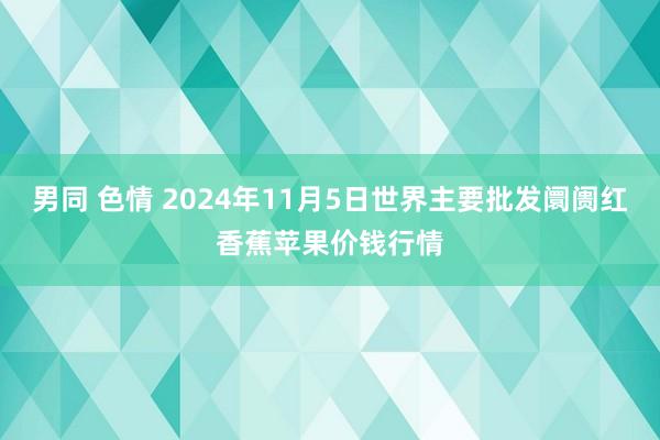 男同 色情 2024年11月5日世界主要批发阛阓红香蕉苹果价钱行情