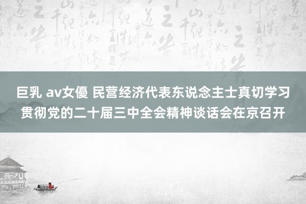 巨乳 av女優 民营经济代表东说念主士真切学习贯彻党的二十届三中全会精神谈话会在京召开