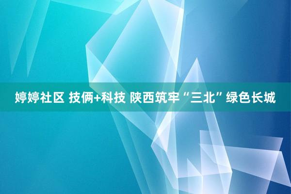 婷婷社区 技俩+科技 陕西筑牢“三北”绿色长城