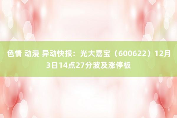 色情 动漫 异动快报：光大嘉宝（600622）12月3日14点27分波及涨停板