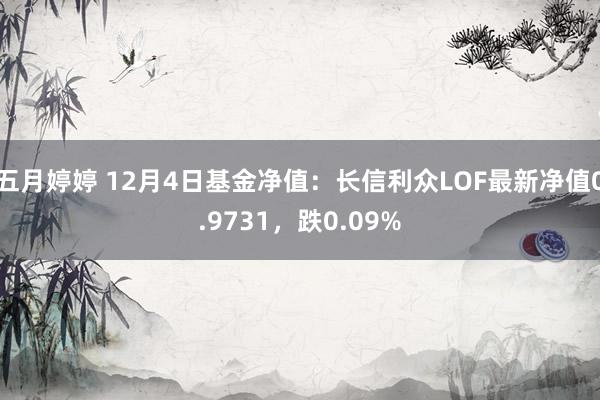 五月婷婷 12月4日基金净值：长信利众LOF最新净值0.9731，跌0.09%