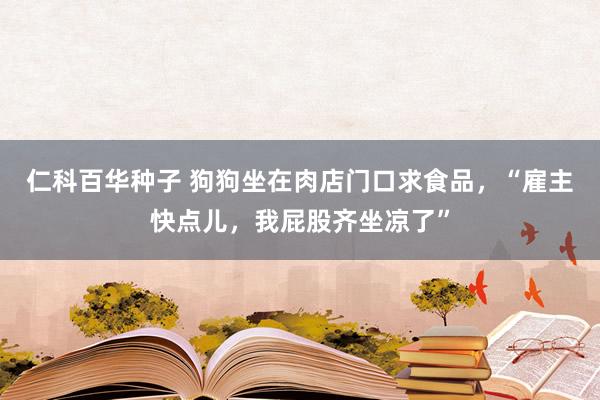 仁科百华种子 狗狗坐在肉店门口求食品，“雇主快点儿，我屁股齐坐凉了”