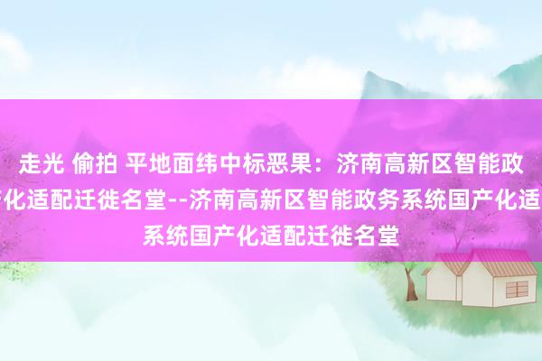 走光 偷拍 平地面纬中标恶果：济南高新区智能政务系统国产化适配迁徙名堂--济南高新区智能政务系统国产化适配迁徙名堂