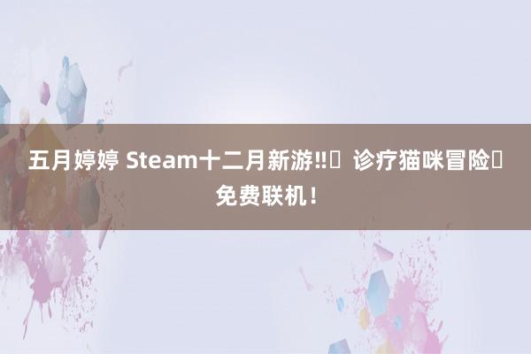 五月婷婷 Steam十二月新游‼️诊疗猫咪冒险➕免费联机！