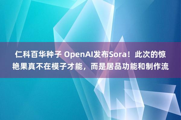 仁科百华种子 OpenAI发布Sora！此次的惊艳果真不在模子才能，而是居品功能和制作流