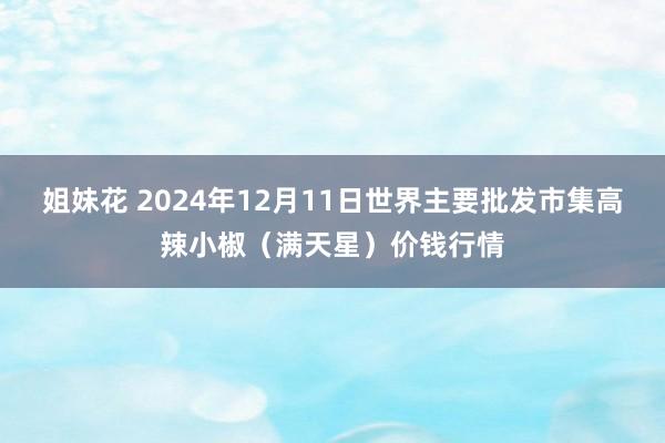 姐妹花 2024年12月11日世界主要批发市集高辣小椒（满天星）价钱行情