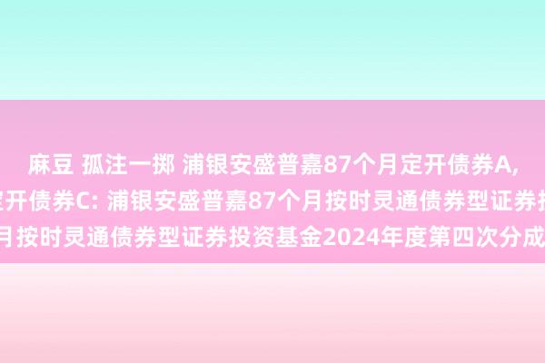 麻豆 孤注一掷 浦银安盛普嘉87个月定开债券A，浦银安盛普嘉87个月定开债券C: 浦银安盛普嘉87个月按时灵通债券型证券投资基金2024年度第四次分成公告