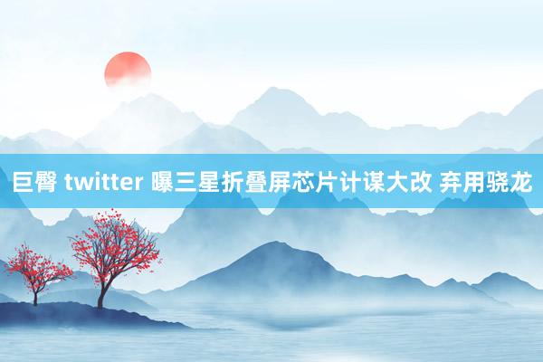 巨臀 twitter 曝三星折叠屏芯片计谋大改 弃用骁龙