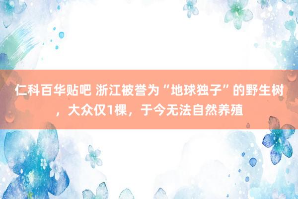 仁科百华贴吧 浙江被誉为“地球独子”的野生树，大众仅1棵，于今无法自然养殖