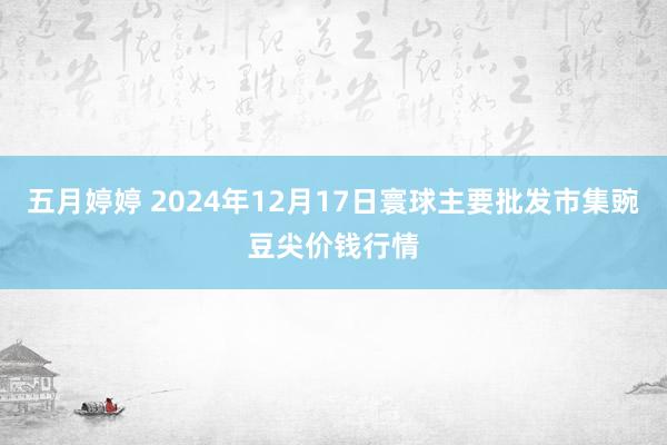 五月婷婷 2024年12月17日寰球主要批发市集豌豆尖价钱行情